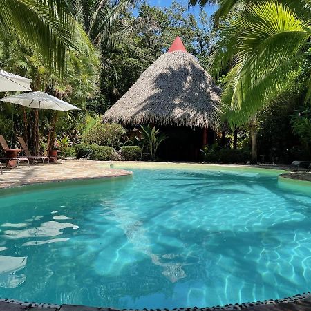 Hotel El Pequeno Gecko Verde Sámara Eksteriør bilde