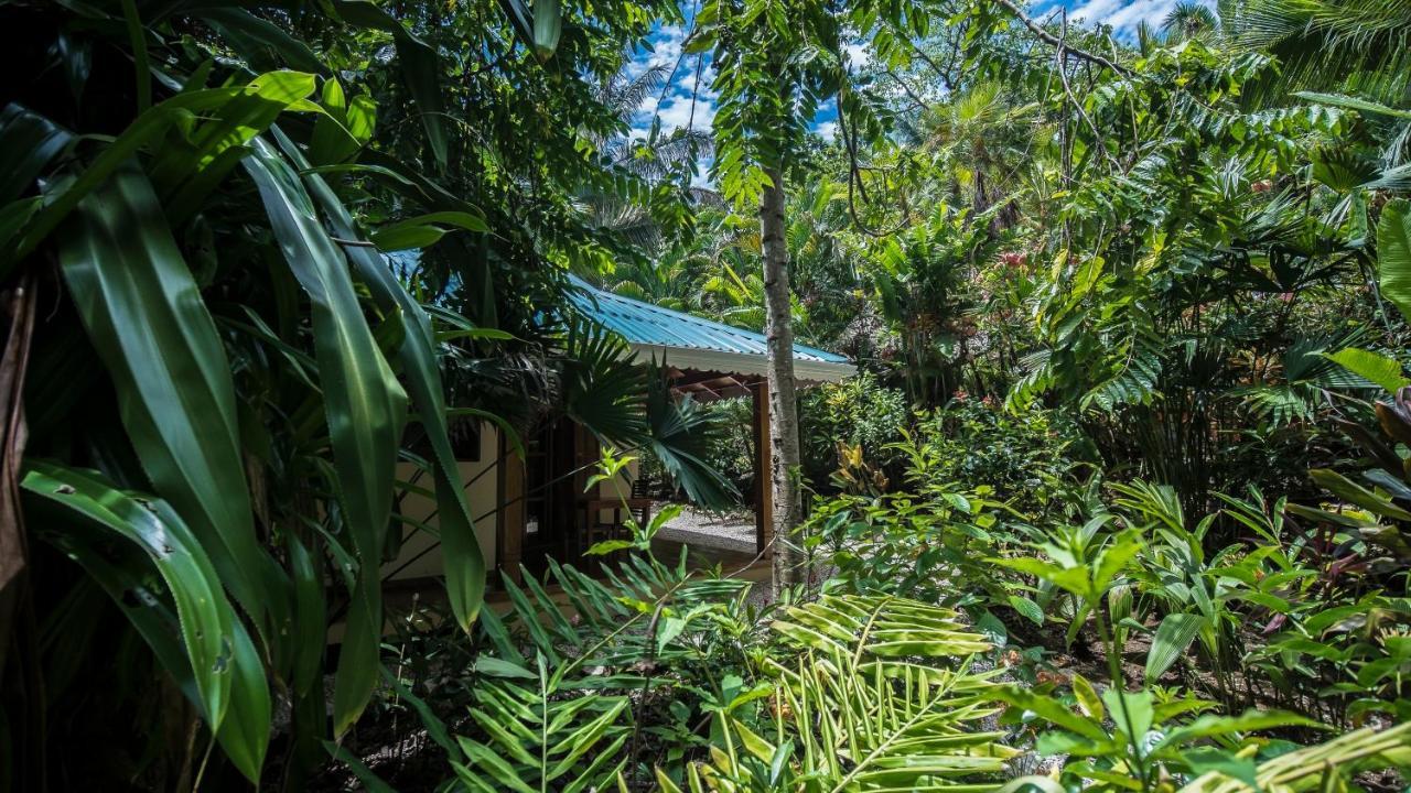 Hotel El Pequeno Gecko Verde Sámara Eksteriør bilde