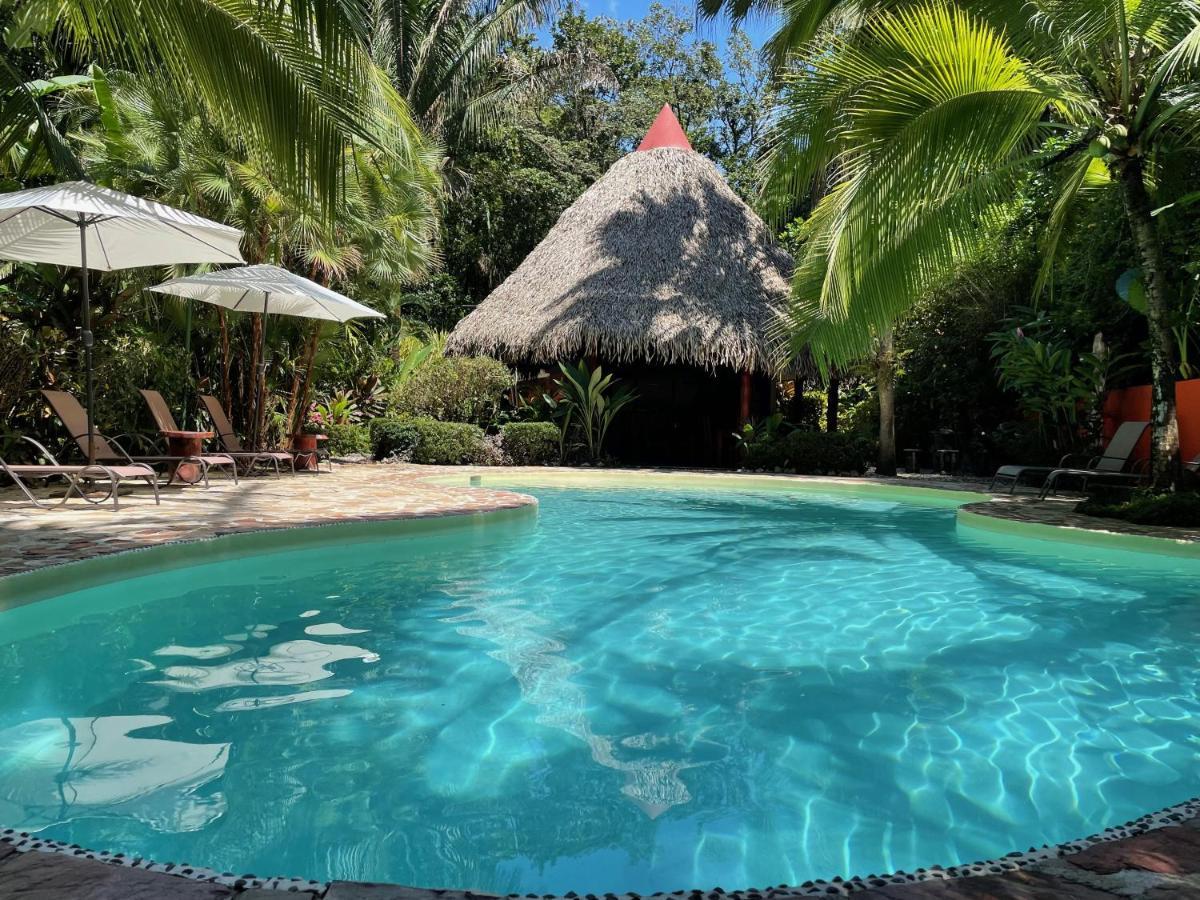 Hotel El Pequeno Gecko Verde Sámara Eksteriør bilde