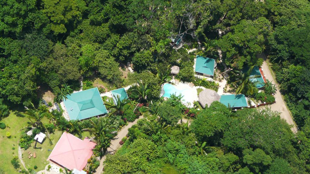 Hotel El Pequeno Gecko Verde Sámara Eksteriør bilde