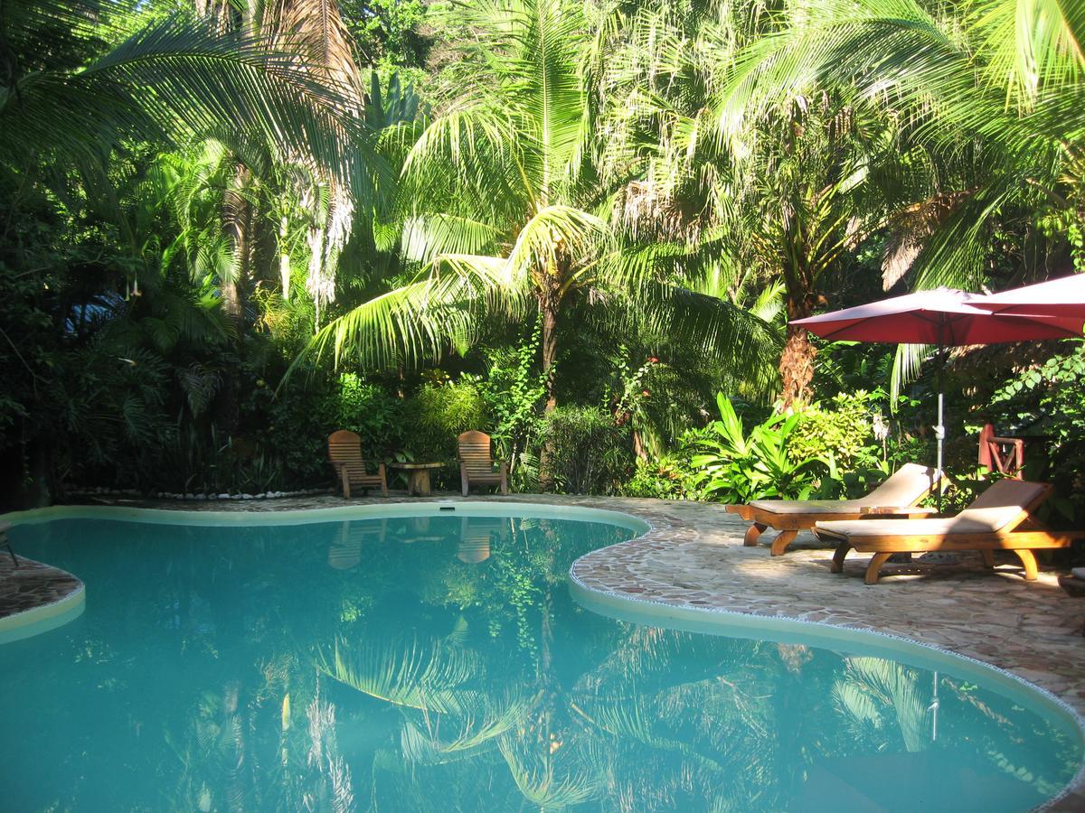 Hotel El Pequeno Gecko Verde Sámara Eksteriør bilde