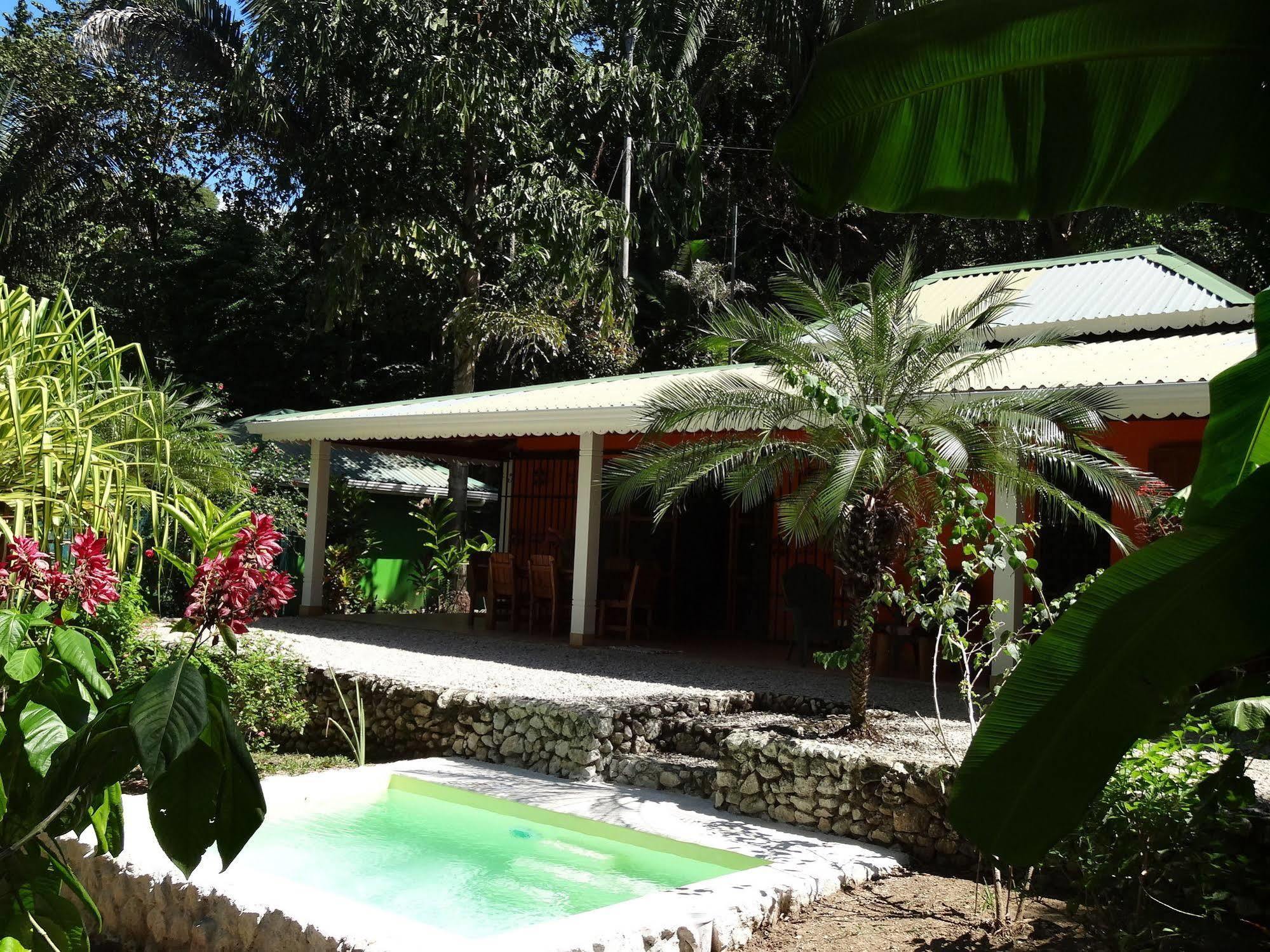 Hotel El Pequeno Gecko Verde Sámara Eksteriør bilde