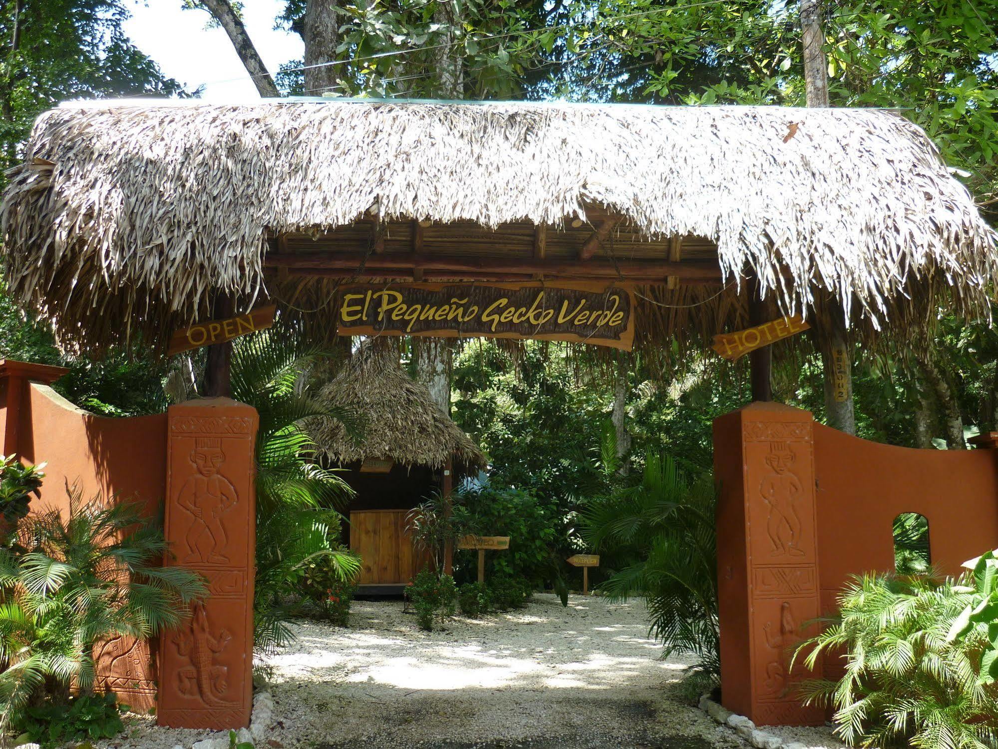 Hotel El Pequeno Gecko Verde Sámara Eksteriør bilde