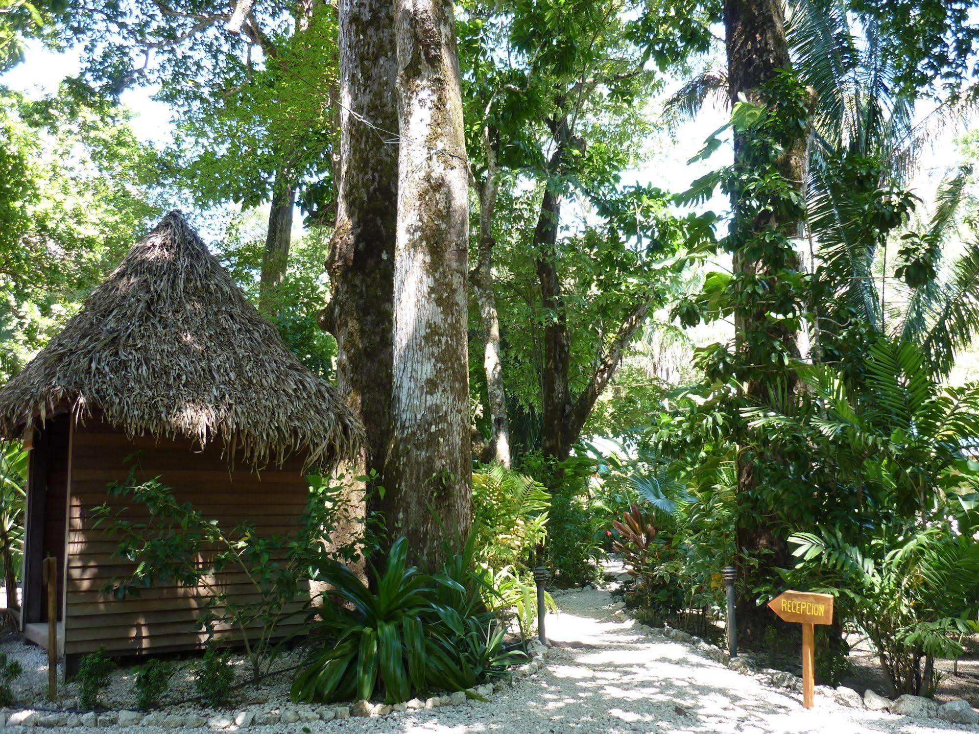 Hotel El Pequeno Gecko Verde Sámara Eksteriør bilde