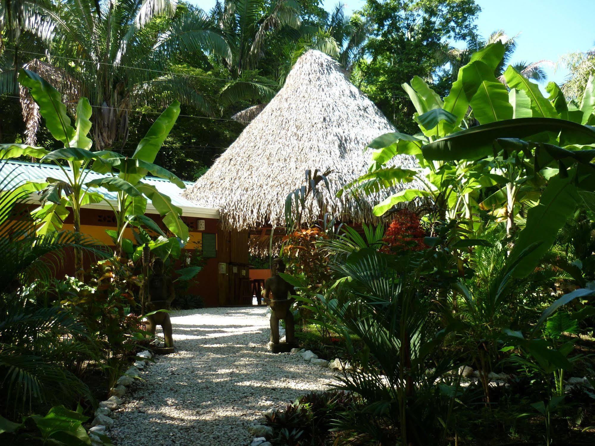Hotel El Pequeno Gecko Verde Sámara Eksteriør bilde