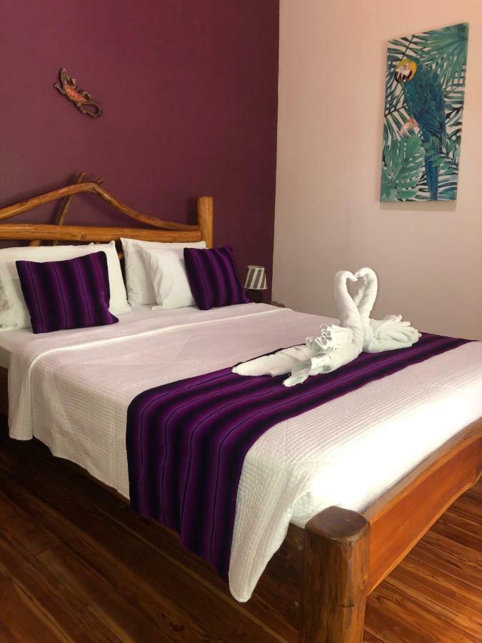 Hotel El Pequeno Gecko Verde Sámara Eksteriør bilde