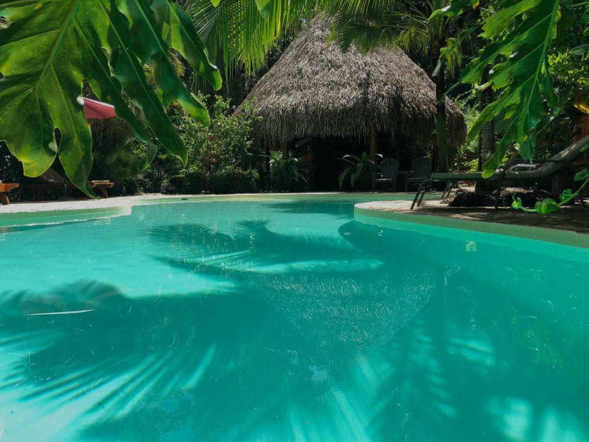 Hotel El Pequeno Gecko Verde Sámara Eksteriør bilde